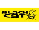 Black Cat