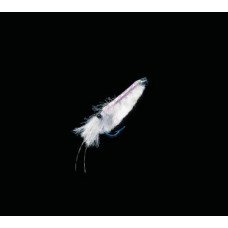 Dega Shrimp/Fliege Reflex-Weiß