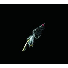 Dega Shrimp-Fly Black 6/0 Norwegen