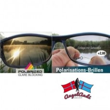 Polarisationsbrille + 2,0 Dioptrien