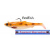 SG 4D Herring Big Shad  PHP 200g