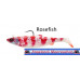 SG 4D Herring Big Shad  PHP 200g