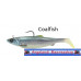 SG 4D Herring Big Shad  PHP 200g