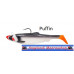 SG 4D Herring Big Shad  PHP 200g